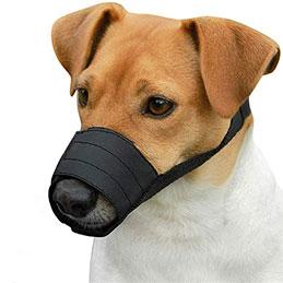 Dog Muzzle