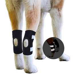 Dog Rear Leg Brace